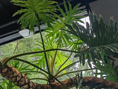 -J Create城市露营咖啡·简餐·宠物(上海动物园店)