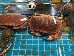 -和源祥·日照菜扛把子(万平口一店)