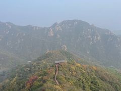 -大岭沟猕猴桃谷风景区
