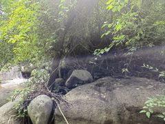 -云岫谷游猎自然风景区