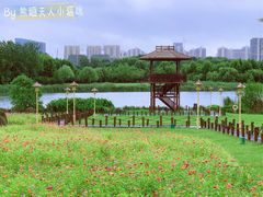 -滨湖塘西河公园