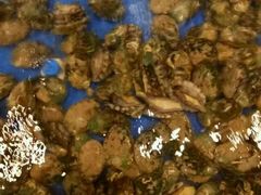 -蒸上鲜海鲜蒸汽蒸菜主题餐厅(高新店)