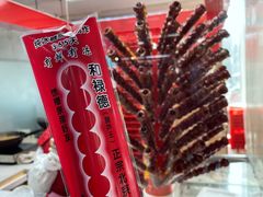 -和禄德冰糖葫芦