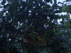 -伊隆斋(什刹海店)