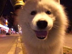 -明星刺青·洗纹身