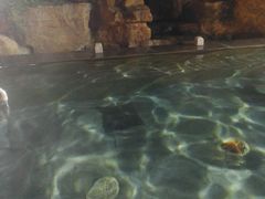 -和县香泉温泉度假村