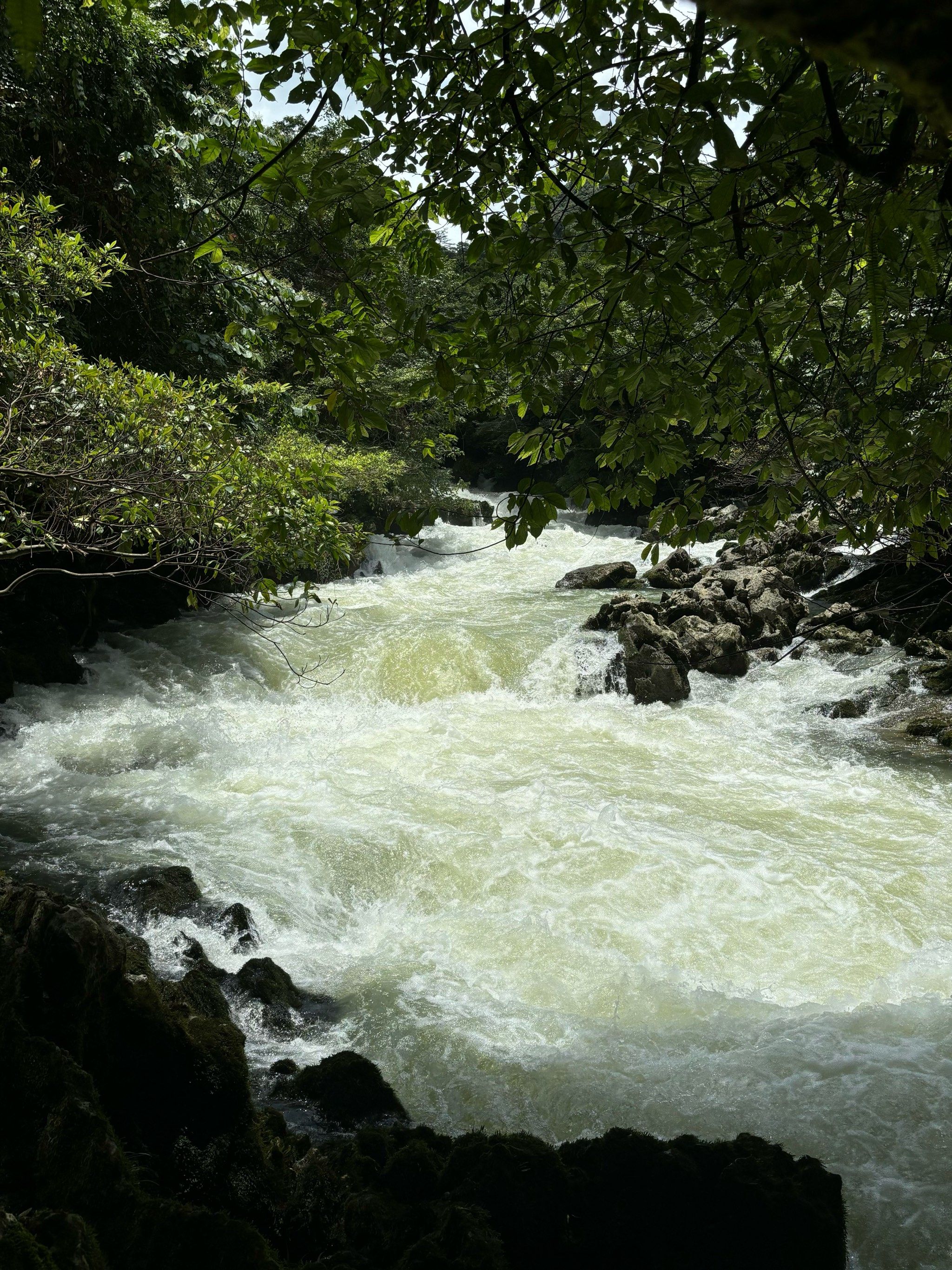 溪水潺潺伴我行