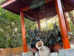 -碧水湾温泉