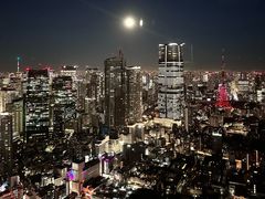 -六本木新城展望台(东京城市景观)