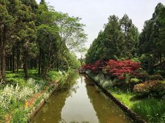 -东平国家森林公园