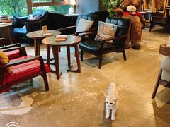 -咖法森林·咖啡  酒吧(天河店)