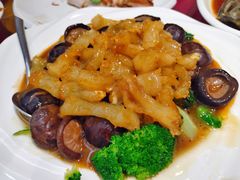 -丰顺宝丰酒店温泉