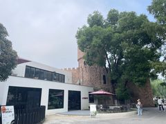 -J Create城市露营咖啡·简餐·宠物(上海动物园店)