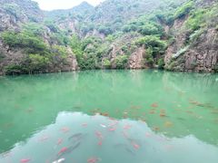 -桑干河大峡谷旅游区