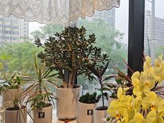 -懒人盐府人家(航天桥店)