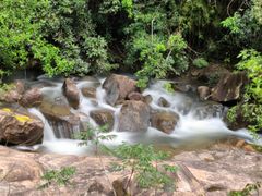 -广州白江湖森林公园