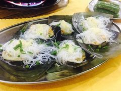 -蚝专家(北滘店)