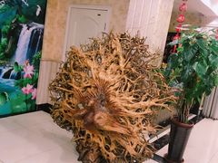 景观位-普天和酒楼·新津菜·烤鸭(天津之眼店)