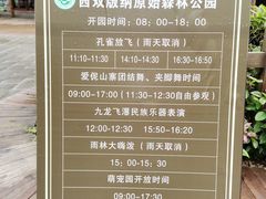 -西双版纳原始森林公园