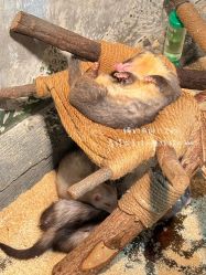 -Zoolung Zoolung动物主题公园(海信广场店)