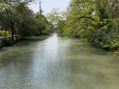 -南汇桃花村