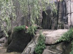 -中国翰园碑林