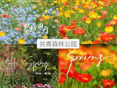 -上海辰山植物园