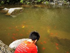 -十渡东湖港风景区
