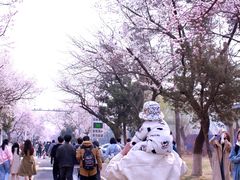 -吉林大学(南岭校区)