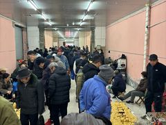-中环花鸟鱼虫市场