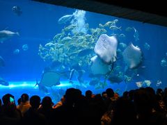 -华夏文旅海洋公园