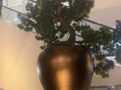 -新白鹿餐厅(金鹰新街口店)