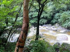 -青峰峡国家森林公园