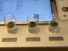 -喜茶(常州新北万达店)