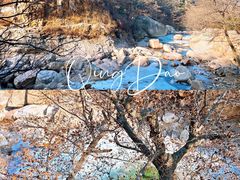 -崂山九水游览区