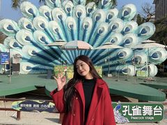 -灵玲国际马戏城
