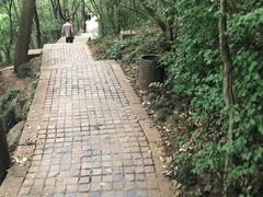-紫金山山顶公园