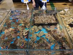 -渔公码头·九龙湾国际饭店