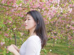 -天适樱花悠乐园