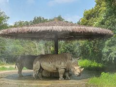 -宁波野生动物园