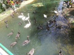 -长白岛森林公园