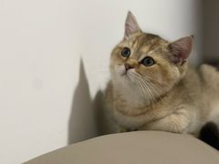 -美联众合24小时·皮肤科·外科·全科诊疗中心(华苑分院)