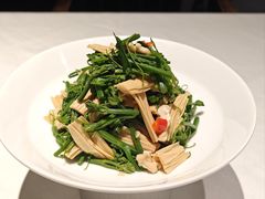 橄榄油鲜腐竹拌丝瓜尖-北平楼·烤鸭·北京菜(牡丹园店)