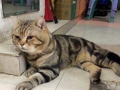 -跃进雪糕(跃进路店)