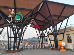 -上海长兴岛郊野公园