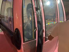 -星城之眼摩天轮