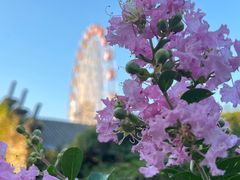 -东湖生态旅游风景区