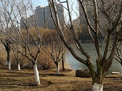 -大连外国语大学(旅顺校区)