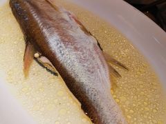 鸡汁长江白鱼-南京大牌档(济南万象城店)