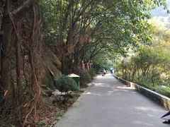 -太和古洞